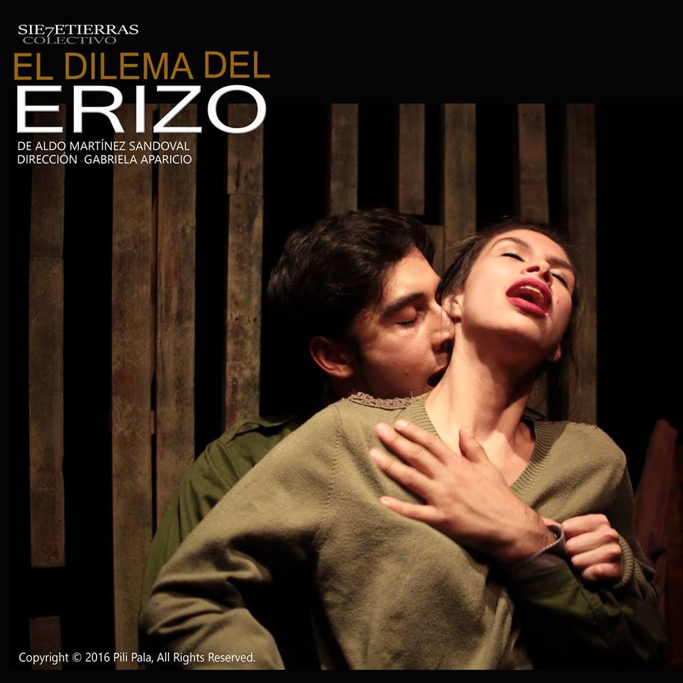 el dilema del erizo 