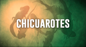 chicuarotes