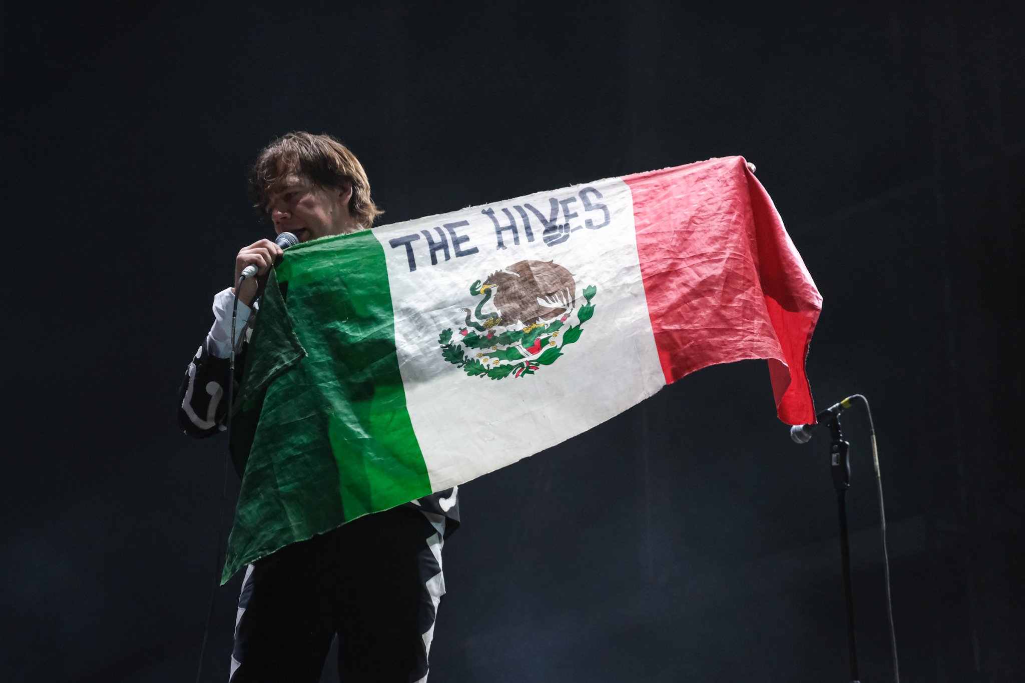 The Hives