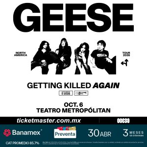 Geese