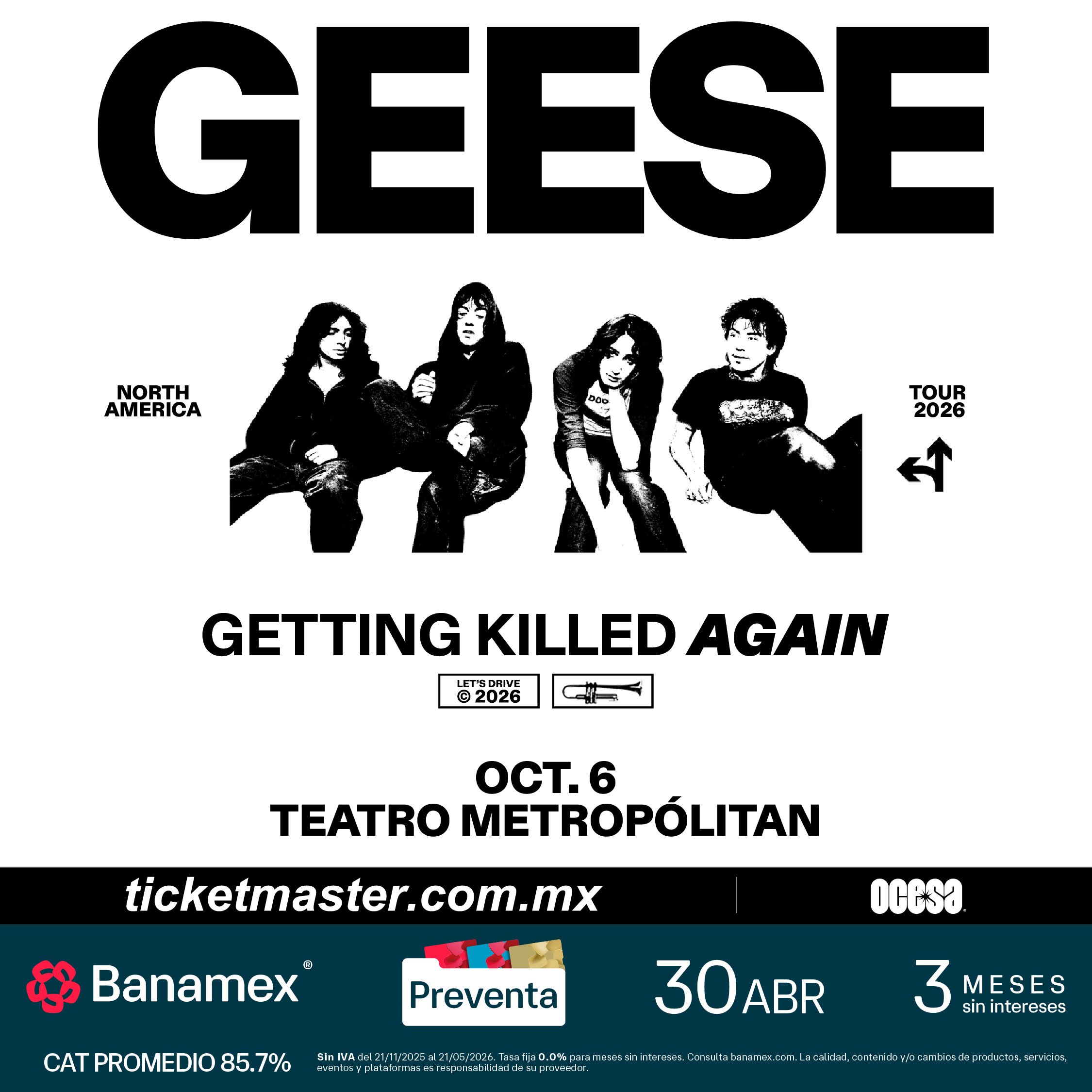 Geese