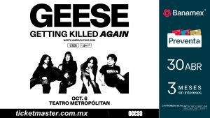 Geese