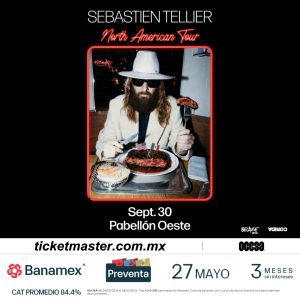 Sébastien Tellier