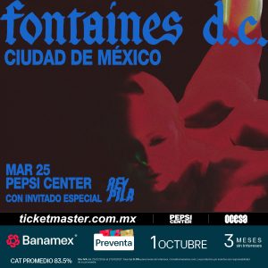Fontaines D.C.